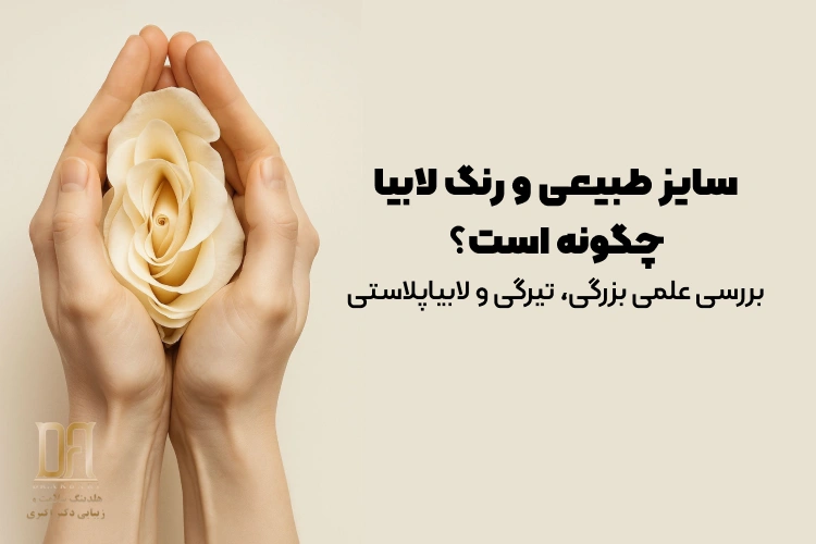 سایز و رنگ لابیا چگونه باید باشد؟