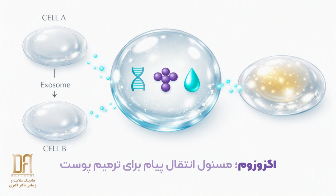 اگزوزوم چیست و چگونه با انتقال پیام بین سلول‌ها به ترمیم و بازسازی پوست کمک می‌کند